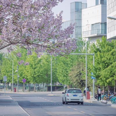 Frühjahrs-Check für das Auto. Frühjahrs-Check für das Auto.